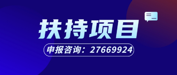 扶持計劃申報