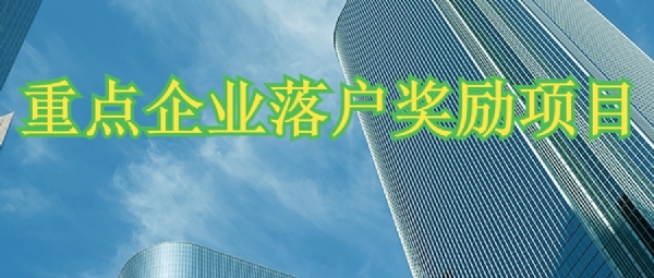 重點企業(yè)(金融)落戶獎勵項目
