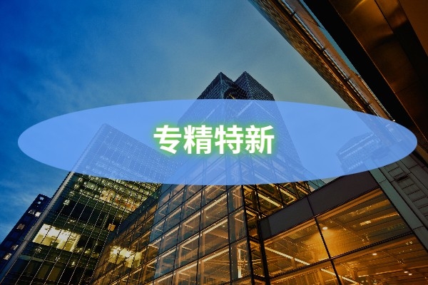 專精特新