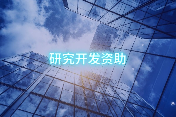 研發投入資助